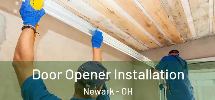 Door Opener Installation Newark - OH