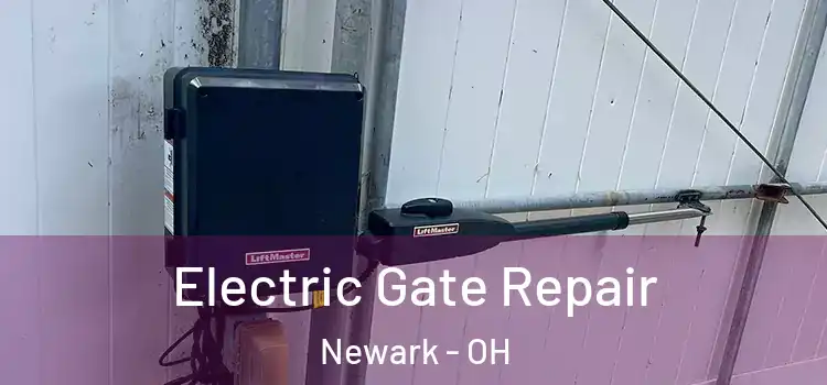 Electric Gate Repair Newark - OH