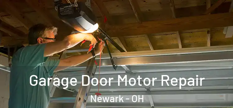  Garage Door Motor Repair Newark - OH