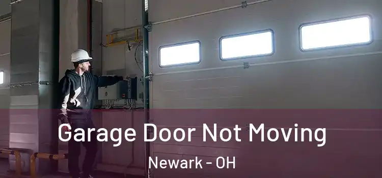  Garage Door Not Moving Newark - OH