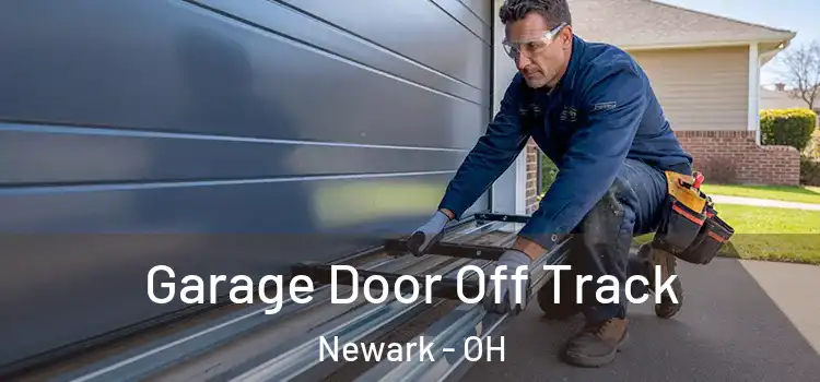  Garage Door Off Track Newark - OH