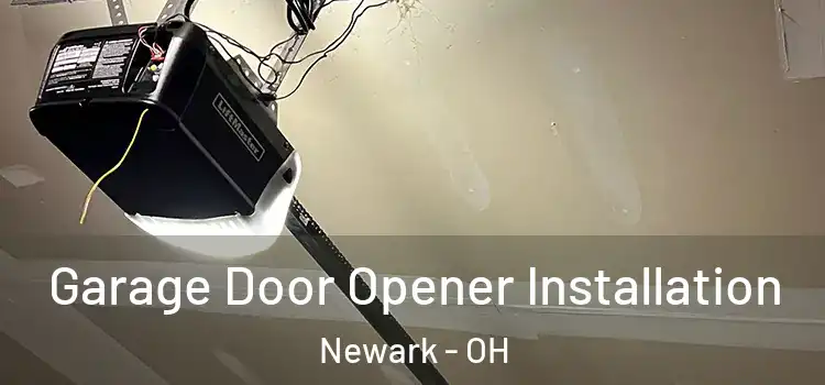  Garage Door Opener Installation Newark - OH