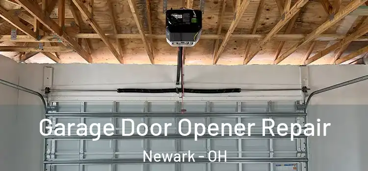  Garage Door Opener Repair Newark - OH