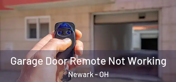  Garage Door Remote Not Working Newark - OH