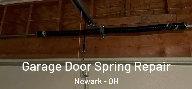  Garage Door Spring Repair Newark - OH