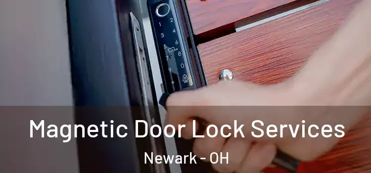 Magnetic Door Lock Services Newark - OH