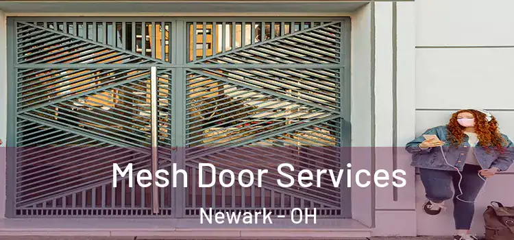 Mesh Door Services Newark - OH