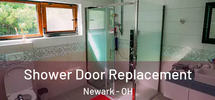 Shower Door Replacement Newark - OH